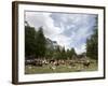 Courmayeur, Mont Blanc, Val Ferret, Aosta Valley, Italy, Europe-Angelo Cavalli-Framed Photographic Print