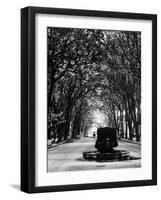 Cours Mirabeau, One of the Main Avenues in Aix En Provence-Gjon Mili-Framed Photographic Print