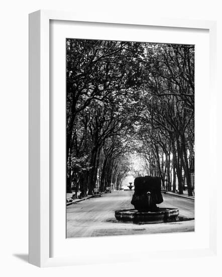 Cours Mirabeau, One of the Main Avenues in Aix En Provence-Gjon Mili-Framed Photographic Print