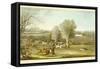 Coursing - a View of Hatfield Park, Engraved by James Pollard (1797-1867)-James Pollard-Framed Stretched Canvas