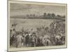 Coursing at Altcar-null-Mounted Giclee Print