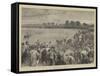 Coursing at Altcar-null-Framed Stretched Canvas