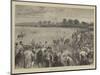 Coursing at Altcar-null-Mounted Giclee Print