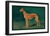 Coursing Greyhound-null-Framed Art Print