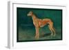 Coursing Greyhound-null-Framed Art Print