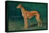 Coursing Greyhound-null-Stretched Canvas