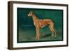 Coursing Greyhound-null-Framed Art Print