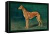 Coursing Greyhound-null-Framed Stretched Canvas