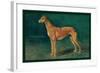 Coursing Greyhound-null-Framed Art Print