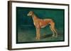 Coursing Greyhound-null-Framed Art Print