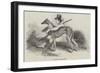 Coursing, Greyhounds-null-Framed Giclee Print