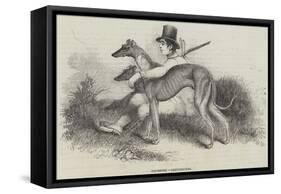 Coursing, Greyhounds-null-Framed Stretched Canvas