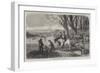 Coursing Meeting at Hampton Park-Frederick John Skill-Framed Giclee Print