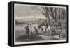 Coursing Meeting at Hampton Park-Frederick John Skill-Framed Stretched Canvas