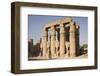 Court of Amenophis Iii-Philip Craven-Framed Photographic Print