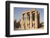 Court of Amenophis Iii-Philip Craven-Framed Photographic Print