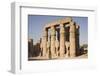 Court of Amenophis Iii-Philip Craven-Framed Photographic Print