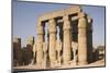 Court of Amenophis Iii-Philip Craven-Mounted Photographic Print