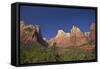 Court of Patriarchs, Abraham Peak, Isaac Peak, Mt Moroni and Jacob Peak, Zion Nat'l Pk, Utah, USA-Peter Barritt-Framed Stretched Canvas