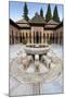 Court of the Lions, Alhambra, Granada, Province of Granada, Andalusia, Spain-Michael Snell-Mounted Photographic Print