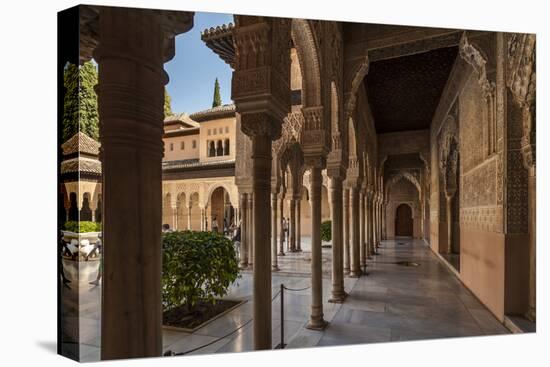 Court of the Lions, Alhambra, Granada, Province of Granada, Andalusia, Spain-Michael Snell-Stretched Canvas