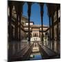 Court of the Lions, Alhambra, Granada, Province of Granada, Andalusia, Spain-Michael Snell-Mounted Photographic Print