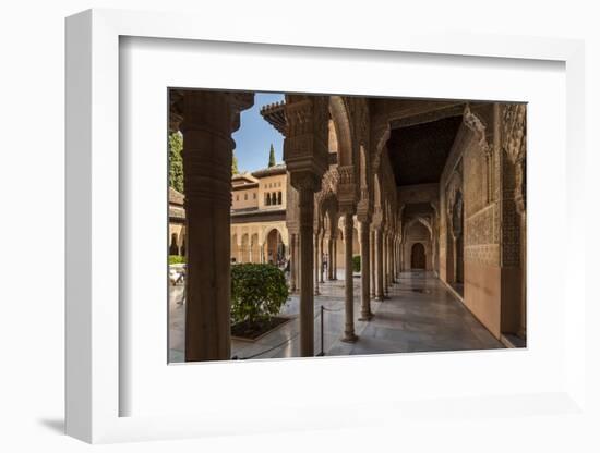 Court of the Lions, Alhambra, Granada, Province of Granada, Andalusia, Spain-Michael Snell-Framed Photographic Print