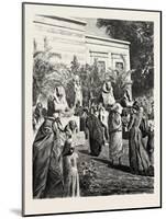 Court of the Museum of Antiquities at Boolak. Egypt, 1879-null-Mounted Giclee Print