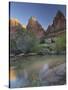 Court of the Patriarchs, Virgin River, Zion National Park, Utah, Usa-Rainer Mirau-Stretched Canvas