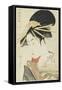 Courtesan Konosumi, 1793-1794-Kitagawa Utamaro-Framed Stretched Canvas