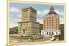 Courthouse and City Hall, Asheville, North Carolina-null-Mounted Premium Giclee Print