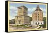 Courthouse and City Hall, Asheville, North Carolina-null-Framed Stretched Canvas