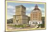 Courthouse and City Hall, Asheville, North Carolina-null-Mounted Art Print
