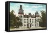 Courthouse, Austin, Texas-null-Framed Stretched Canvas