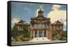 Courthouse, Fort Worth, Texas-null-Framed Stretched Canvas