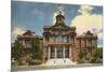 Courthouse, Fort Worth, Texas-null-Mounted Art Print