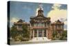 Courthouse, Fort Worth, Texas-null-Stretched Canvas