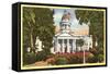 Courthouse, Fresno, California-null-Framed Stretched Canvas