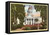 Courthouse, Fresno, California-null-Framed Stretched Canvas