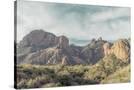 Stretched Canvas