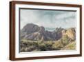Brown Frame