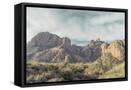 Canvas Black
