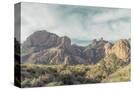 Stretched Canvas