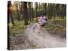 Courtney Feldt Mountain Bikes on Singletrack of the Whitefish Trail Near Whitefish, Montana, Usa-Chuck Haney-Stretched Canvas