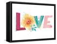 Framed Canvas
