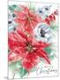 Wood Mount