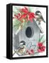Framed Canvas