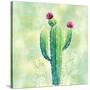 Stretched Canvas