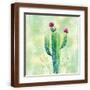 Brown Frame