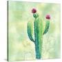 Stretched Canvas